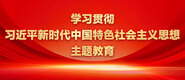 燥逼在线观看免费学习贯彻习近平新时代中国特色社会主义思想主题教育_fororder_ad-371X160(2)